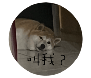 528110853