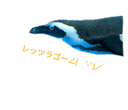 528122191