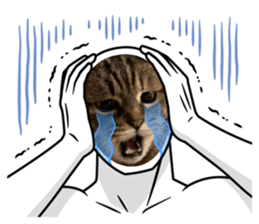 528128599