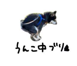 528130472