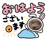 528133821