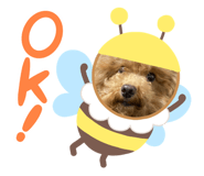 528133825