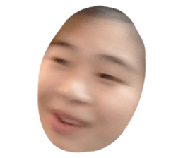 528135096