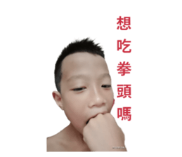 528148635