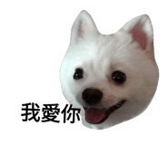 52822526