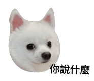 52822527