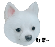 52822528