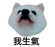 52822529