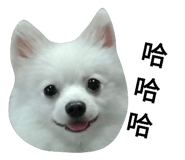 52822531