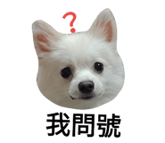 52822532