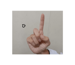528242025