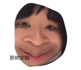 528249150