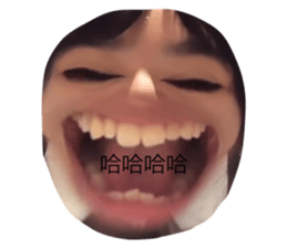 528249152