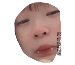 528249155
