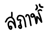 528302953