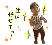 52830512