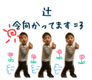52830516