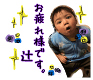 52830520