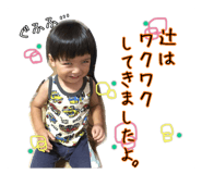 52830521