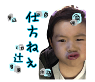 52830527