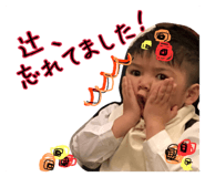 52830540