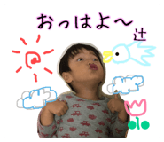 52830544