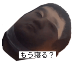 528309185