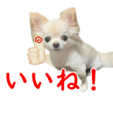 528315399