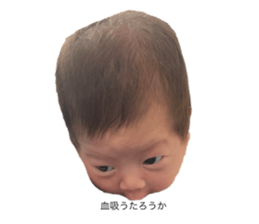 528344382