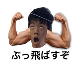 528355430