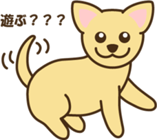 5283556