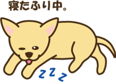5283561