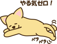 5283571