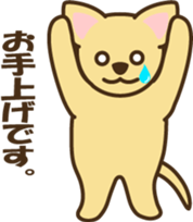 5283572