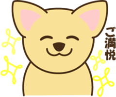 5283574