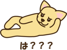 5283589