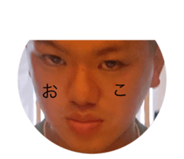 528360914