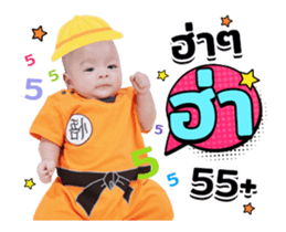 528363704