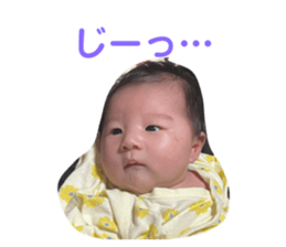 528378564