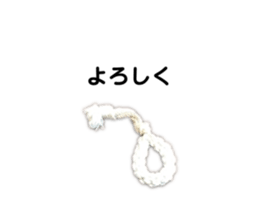 528382587