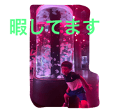528384052
