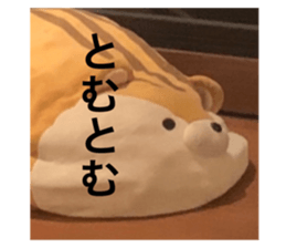 528389286
