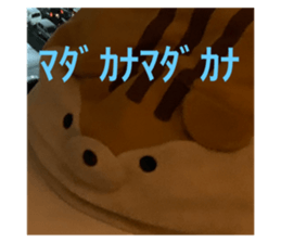 528389291