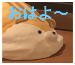 528389293