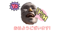 528389311