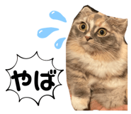 528391525