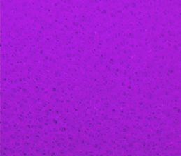 528399261