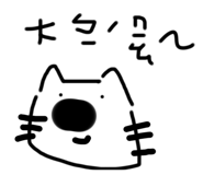 528404077