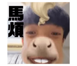 528411745