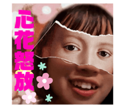 528411749